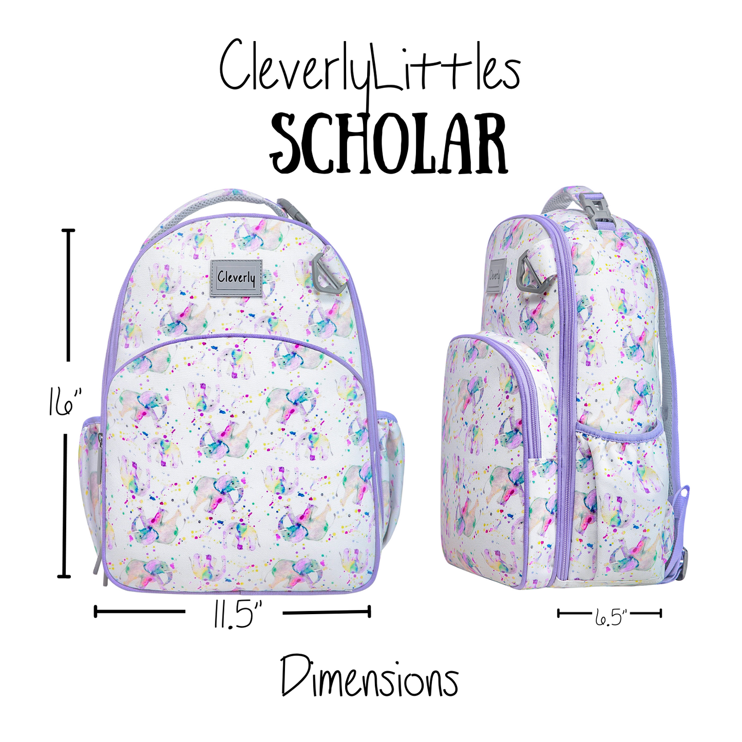 Scholar