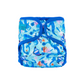 CleverSplash