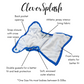 CleverSplash